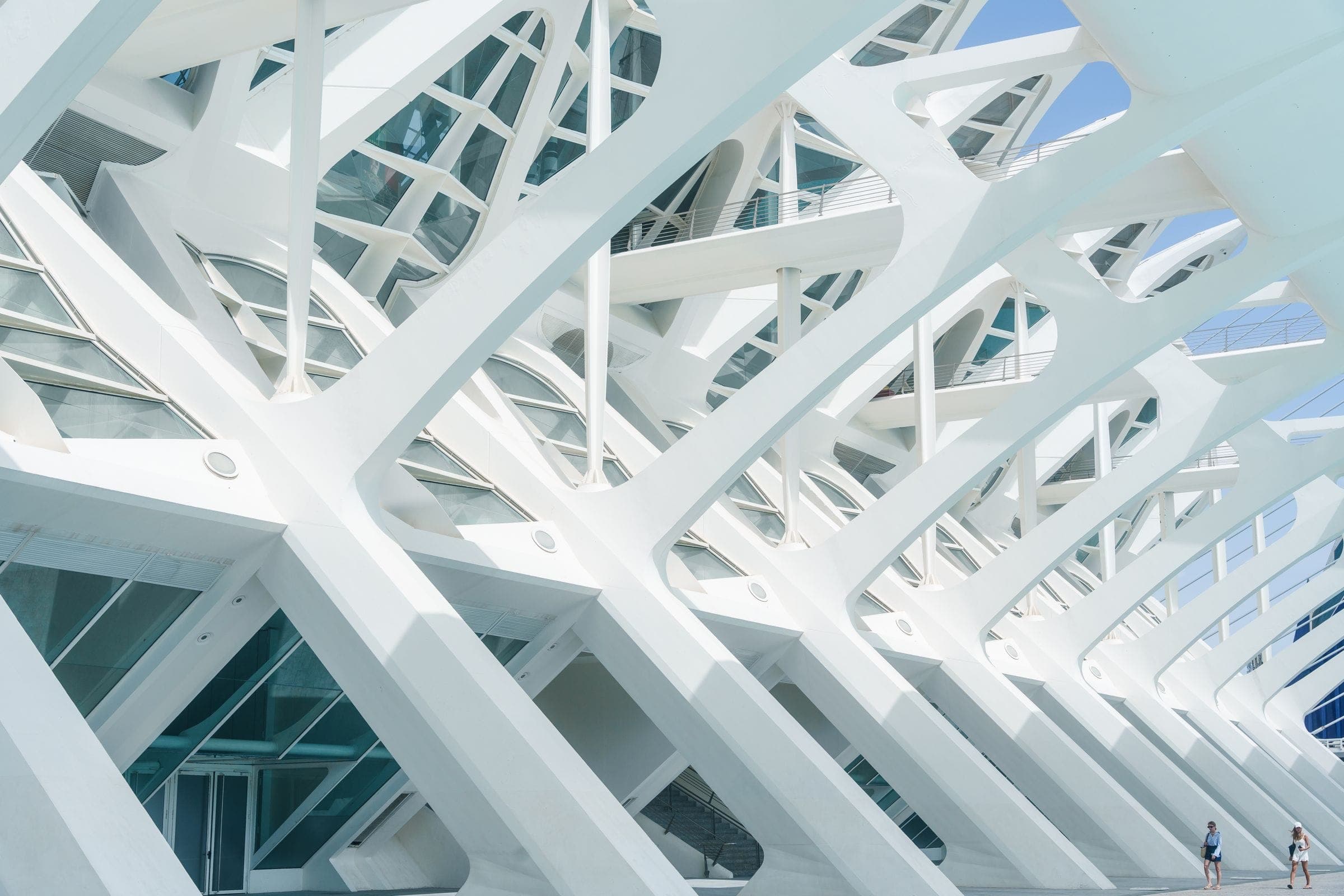 White lattice of steel ribs and glass forming a protective structure in daylight